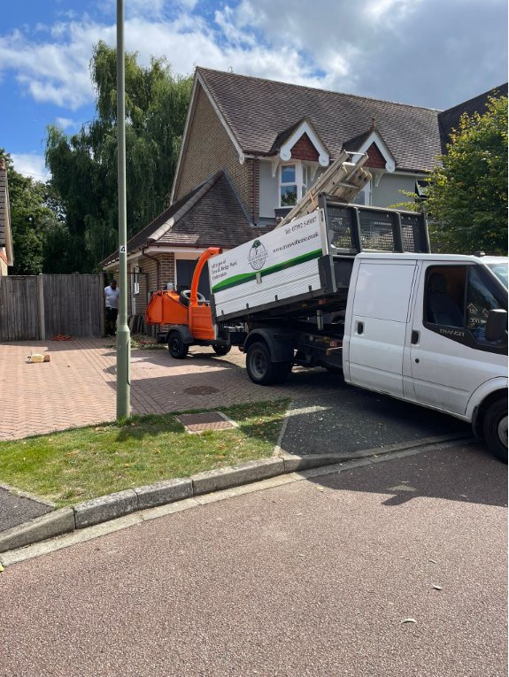 Hedge removal West Byfleet 1