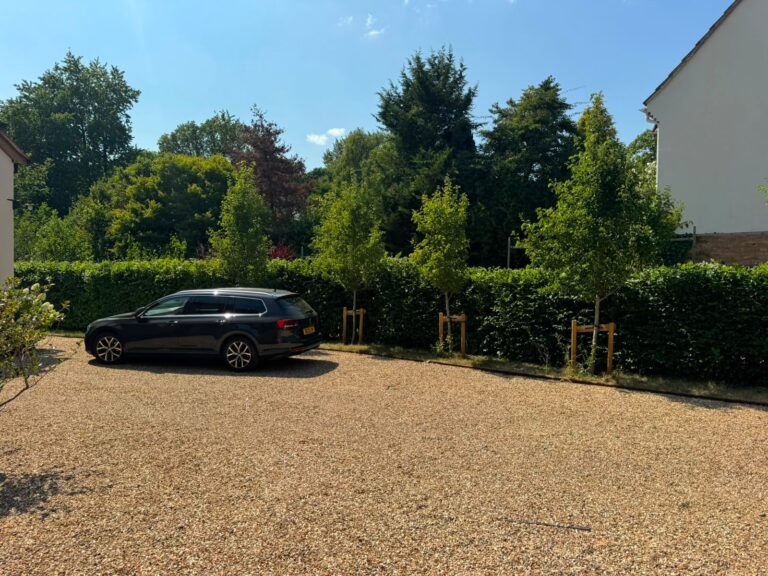 Hedge trim after